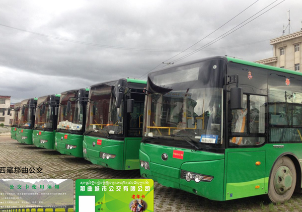 西藏那曲公交公交公司